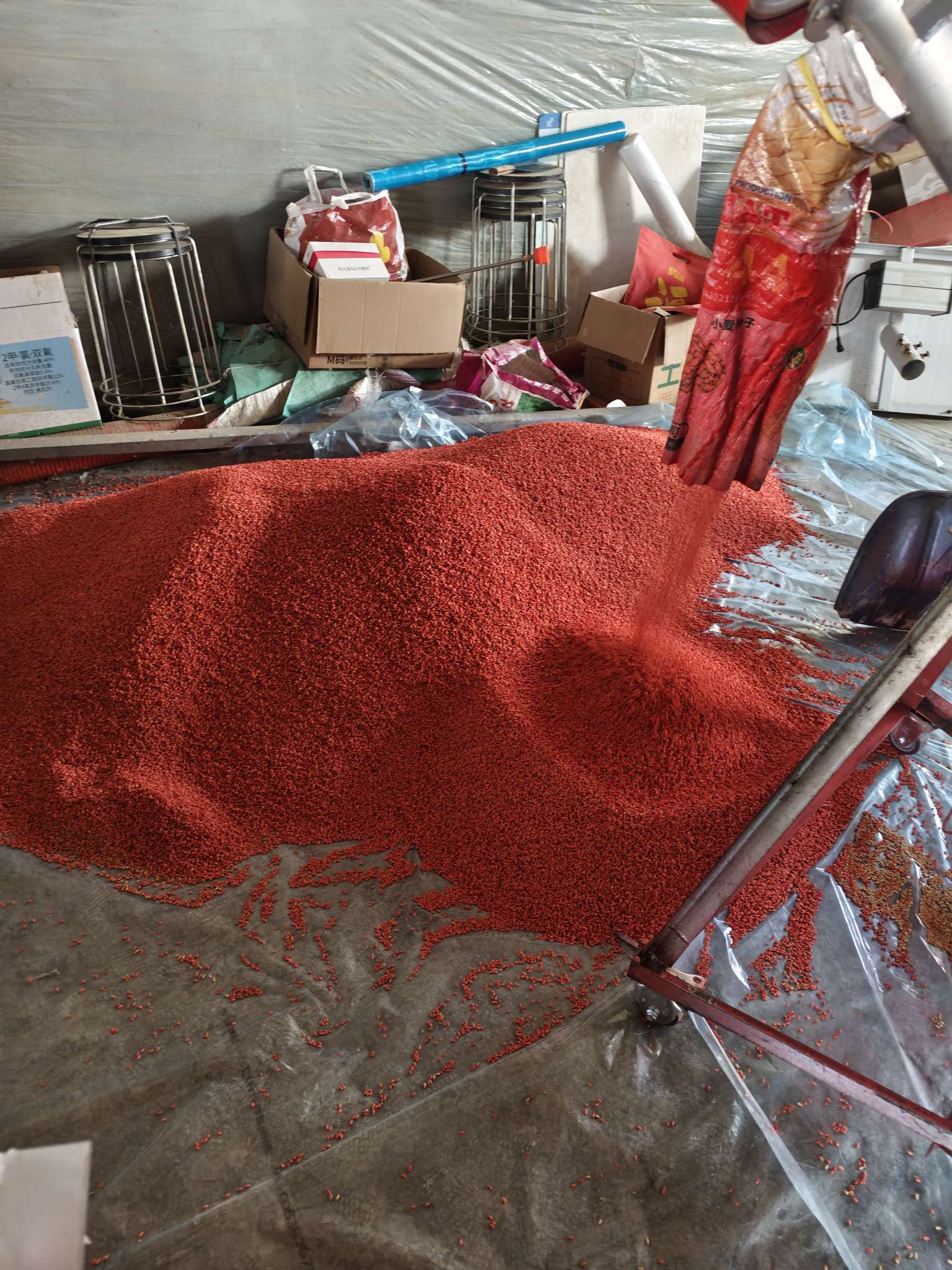 四冠包衣拌种，防虫防病壮苗增产。