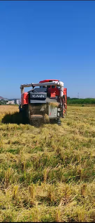 惠州基地，无人拖拉机收水稻了。