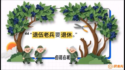 第7节：修剪决定产量（下）&mdash;&mdash;结果树的更新与疏果，课程：《蓝莓&ldquo;高产&rdquo;实战课：从选苗到丰收的10个关键点》