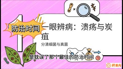 第三节：细菌与真菌&mdash;&mdash;溃疡病与炭疽病，课程：《柑橘十大病虫害：从入门到精通》