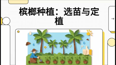 第01节：选苗与定植&mdash;&mdash;&ldquo;苗好一半收，底肥定千秋&rdquo;课程：《槟榔种植：从不懂到精通的10堂必修课》
