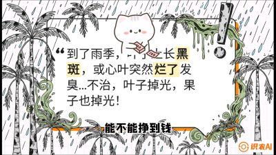 第05节：常见真菌病害&mdash;&mdash;&ldquo;炭疽与烂心，早防值千金&rdquo;《槟榔种植：从不懂到精通的10堂必修课》