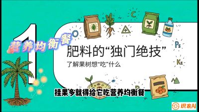 第07节：科学施肥&mdash;&mdash;&ldquo;氮磷钾配好，树壮果不倒