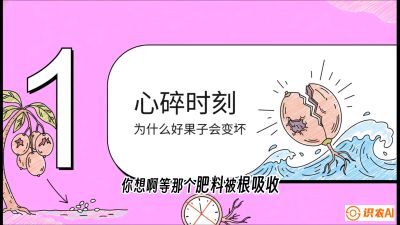 第08节：微量元素与保果&mdash;&mdash;&ldquo;补硼又补钙，果子不裂坏&rdquo;《槟榔种植：从不懂到精通的10堂必修课》