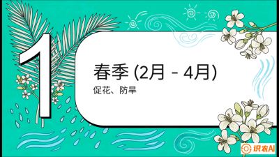 第10节：周年农事日历&mdash;&mdash;&ldquo;跟着节气走，丰产在手头&rdquo;《槟榔种植：从不懂到精通的10堂必修课》