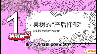 第2节：【冬肥策略】采后&ldquo;月子肥&rdquo;：大小年的精准干预术，课程：《柑橘底肥&ldquo;翻身账&rdquo;：从改土到高产的实战全书》