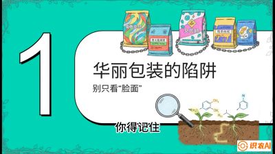 第4节：【黄金配方】底肥里的&ldquo;铁三角&rdquo;与&ldquo;微量雷区&rdquo;课程：《柑橘底肥&ldquo;翻身账&rdquo;：从改土到高产的实战全书》