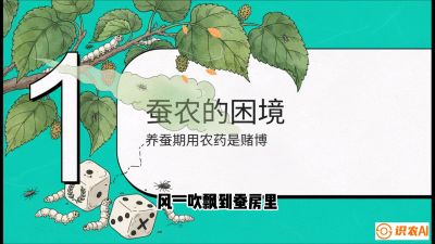 第06节：虫口夺叶（上）&mdash;&mdash;物理与生物防控绝技，课程《桑海淘金：桑树高产与蚕桑安全进阶实战课》