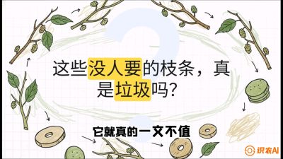 第12节：变废为宝&mdash;&mdash;循环农业实操，课程：《桑海淘金：桑树高产与蚕桑安全进阶实战课》