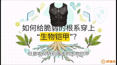 第三节：国产榴莲突围战：根系堡垒，菌根微生态构建与黄金定植窗口，课程：《国产榴莲突围战：从泰国经验到中国实操的8堂必修课（高阶实战版）》