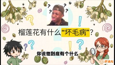 第六节：榴莲的午夜战事，夜间授粉战与花果期避雨策略，课程：《国产榴莲突围战：从泰国经验到中国实操的8堂必修课（高阶实战版）》