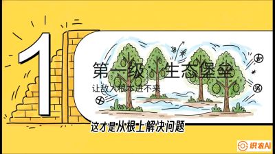 第七节：榴莲防御战：病虫害三级立体防控，疫霉菌与虫害的立体封锁线，课程：《国产榴莲突围战：从泰国经验到中国实操的8堂必修课（高阶实战版）》