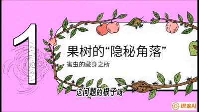 第3节：无人机专治&ldquo;打不透&rdquo;&mdash;&mdash;果树与高杆作物的穿透技巧，课程：《无人机植保搞钱必修课：从&ldquo;瞎飞&rdquo;到&ldquo;懂行&rdquo;的6步进阶》