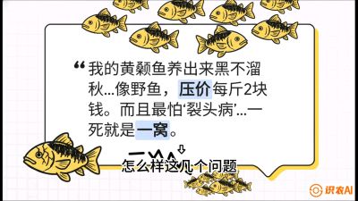 第四节：【黄金单品&middot;黄颡鱼】解决&ldquo;一点红&rdquo;与&ldquo;香蕉色&rdquo;的悖论，课程：《黄金鳞甲：2025中国淡水鱼高效养殖实战营》