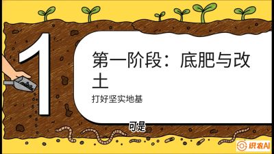 第6节（统筹篇）： 省钱又增产的&ldquo;黄金配比&rdquo;&mdash;&mdash;不同作物全年的养土实操方案，课程：《揭秘土壤的秘密：让土地帮你赚钱》#识农AI