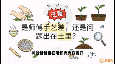 第02节（土肥篇）：告别&ldquo;苦涩水味&rdquo;：揭秘&ldquo;碳氮比&rdquo;调控术，种出自带兰花香的好茶底，课程：《茶金时代：从&ldquo;看天吃饭&rdquo;到&ldquo;精准控局&rdquo;的茶叶高产提质实战课》