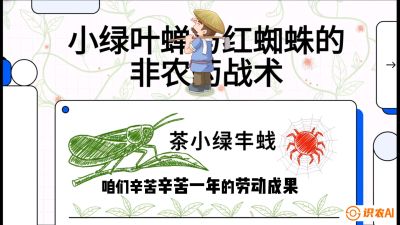 第03节（虫害篇）：看不见的吸血鬼：小绿叶蝉与红蜘蛛的&ldquo;非农药&rdquo;团灭战术（抗性治理），课程：《茶金时代：从&ldquo;看天吃饭&rdquo;到&ldquo;精准控局&rdquo;的茶叶高产提质实战课》