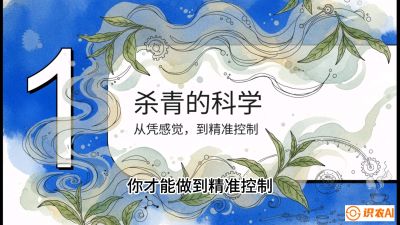 第05节（加工篇）：决胜2分钟：用&ldquo;数字温控&rdquo;破解杀青不匀，复刻大师级手工口感，课程：《茶金时代：从&ldquo;看天吃饭&rdquo;到&ldquo;精准控局&rdquo;的茶叶高产提质实战课》