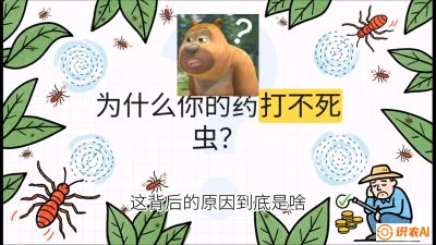 第4节：【虫害歼灭战】打不死的蓟马、隐形的茶黄螨：抗性时代的&ldquo;混配绝杀&rdquo;，课程：《辣椒种植实战特训营，从工业辣椒到精品小米辣，教你如何把&ldquo;草&rdquo;种成&ldquo;金&rdquo;》