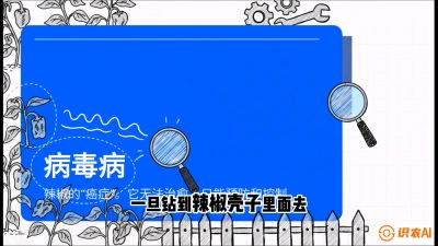 第5节：【病毒病阻击】辣椒的&ldquo;癌症&rdquo;怎么治？从&ldquo;绝收恐慌&rdquo;到&ldquo;带毒生产&rdquo;的逆转术，课程：《辣椒种植实战特训营，从工业辣椒到精品小米辣，教你如何把&ldquo;草&rdquo;种成&ldquo;金&rdquo;》