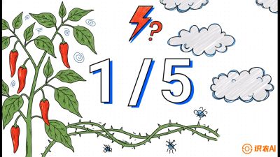 第6节：【花果爆发术】落花落果的五大元凶，与&ldquo;三喷一保&rdquo;坐果黑科技，课程：《辣椒种植实战特训营，从工业辣椒到精品小米辣，教你如何把&ldquo;草&rdquo;种成&ldquo;金&rdquo;》