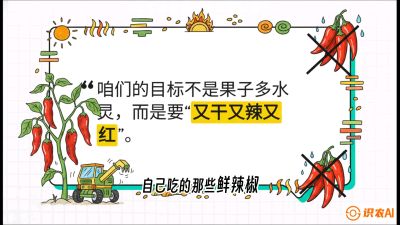 第7节：【工业辣椒专场】追求极致辣度！干物质提升与机械化采收的&ldquo;催红秘籍&rdquo;，课程：《辣椒种植实战特训营，从工业辣椒到精品小米辣，教你如何把&ldquo;草&rdquo;种成&ldquo;金&rdquo;》
