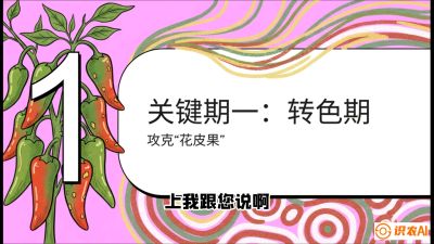 第8节：【小米辣线椒专场】颜值即正义！防花皮、防炭疽，打造收购商抢着要的&ldquo;精品果&rdquo;，课程：《辣椒种植实战特训营，从工业辣椒到精品小米辣，教你如何把&ldquo;草&rdquo;种成&ldquo;金&rdquo;》