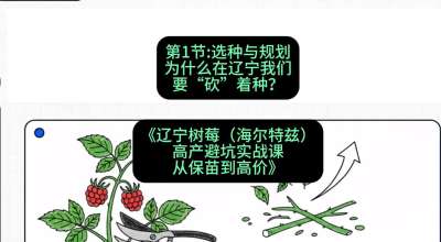 第一节： 选种与规划&mdash;&mdash;为什么在辽宁我们要&ldquo;砍&rdquo;着种？，课程：《辽宁树莓（海尔特兹）高产避坑实战课：从保苗到高价》