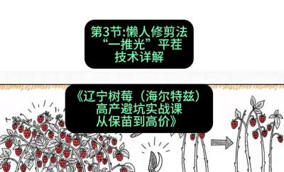第三节： 懒人修剪法&mdash;&mdash;&ldquo;一推光&rdquo;平茬技术详解，课程：《辽宁树莓（海尔特兹）高产避坑实战课：从保苗到高价》