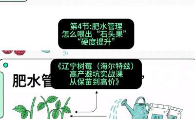 第四节： 肥水管理&mdash;&mdash;怎么喂出&ldquo;石头果&rdquo;（硬度提升），课程：《辽宁树莓（海尔特兹）高产避坑实战课：从保苗到高价》