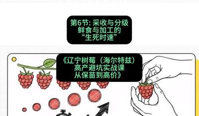 第六节： 采收与分级&mdash;&mdash;鲜食与加工的&ldquo;生死时速&rdquo;，课程：《辽宁树莓（海尔特兹）高产避坑实战课：从保苗到高价》