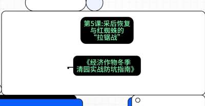 第5节：【柑橘清园】采后恢复与红蜘蛛的&ldquo;拉锯战&rdquo;，课程：《经济作物冬季清园&middot;实战防坑指南》#识农AI