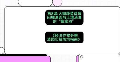 第8节：【大棚蔬菜草莓】闷棚清园与土壤消毒的&ldquo;桑拿浴&rdquo;，课程：《经济作物冬季清园&middot;实战防坑指南》#识农AI