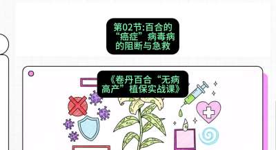 第02节：百合的&ldquo;癌症&rdquo;&mdash;&mdash;病毒病的阻断与急救，课程：《卷丹百合&ldquo;无病高产&rdquo;植保实战课》#识农AI