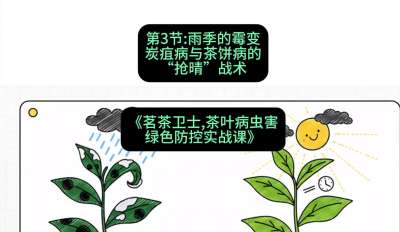 第03节：雨季的霉变&mdash;&mdash;炭疽病与茶饼病的&ldquo;抢晴&rdquo;战术，课程：《茗茶卫士&mdash;&mdash;茶叶病虫害绿色防控实战课》#识农AI