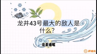 第04节：龙井双璧&mdash;&mdash;龙井43与群体种的差异化护养（重点），课程：《茗茶卫士&mdash;&mdash;茶叶病虫害绿色防控实战课》#识农AI