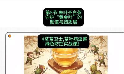 第05节：朱叶齐白茶&mdash;&mdash;守护&ldquo;黄金叶&rdquo;的颜值与蜡质层（重点），课程：《茗茶卫士&mdash;&mdash;茶叶病虫害绿色防控实战课》#识农AI