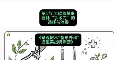第01节：工欲善其事&mdash;&mdash;园林&ldquo;手术刀&rdquo;的选择与消毒，课程：《景观树木&ldquo;整形外科&rdquo;造型实战特训营》#识农AI