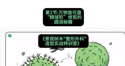 第02节：万物皆可盘&mdash;&mdash;&ldquo;精球形&rdquo;修剪的圆润秘籍，课程：《景观树木&ldquo;整形外科&rdquo;造型实战特训营》#识农AI
