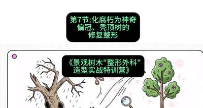 第07节：化腐朽为神奇&mdash;&mdash;偏冠、秃顶树的修复整形，课程：《景观树木&ldquo;整形外科&rdquo;造型实战特训营》#识农AI