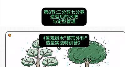 第08节：三分剪七分养&mdash;&mdash;造型后的水肥与定型管理，课程：《景观树木&ldquo;整形外科&rdquo;造型实战特训营》#识农AI