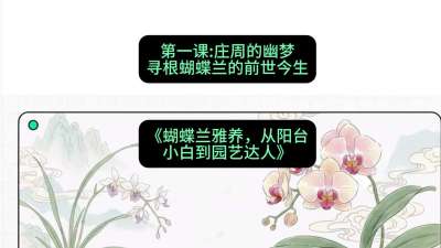 第一节：庄周的幽梦：寻根蝴蝶兰的前世今生，课程：《蝴蝶兰雅养六讲：从阳台小白到园艺达人》#识农AI