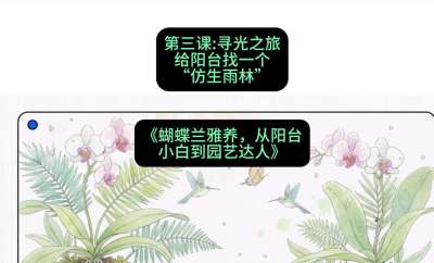 第三节：寻光之旅：给阳台找一个&ldquo;仿生雨林&rdquo;，课程：《蝴蝶兰雅养六讲：从阳台小白到园艺达人》#识农AI