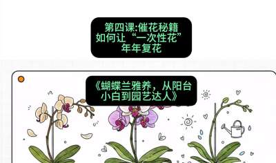 第四节：催花秘籍：如何让&ldquo;一次性花&rdquo;年年复花，课程：《蝴蝶兰雅养六讲：从阳台小白到园艺达人》#识农AI