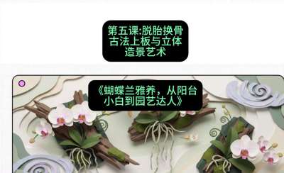 第五节：脱胎换骨：古法上板与立体造景艺术，课程：《蝴蝶兰雅养六讲：从阳台小白到园艺达人》#识农AI